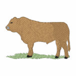Limousin