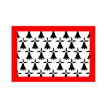 Limousin flag t-shirt