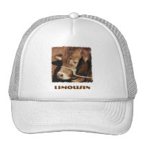 Limousin hat