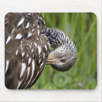 Limpkin mousepads by wildlifezoo Limpkin mousepads