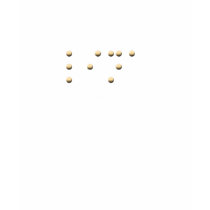 Lina in Braille t-shirts