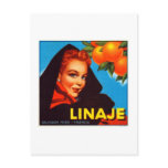 Linaje Valencia Oranges Post Cards