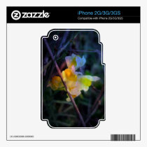 Linaria Glow skins