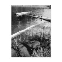 Lincoln Logs Rocky Mountain National Park Postcards