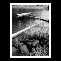 Lincoln Logs Rocky Mountain National Park Print