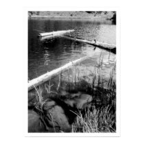 Lincoln Logs Rocky Mountain National Park Print