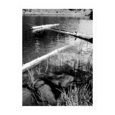 Lincoln Logs Rocky Mountain National Park Print by jeremybonfiglio