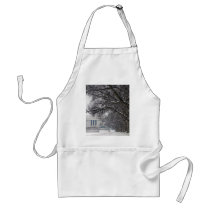 lincoln memorial winter snow aprons