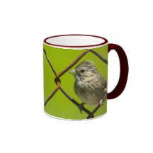 Lincoln's Sparrow Mug