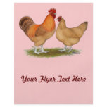 Lincolnshire Buff Chickens flyers