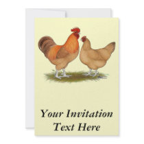 Lincolnshire Buff Chickens Invitation