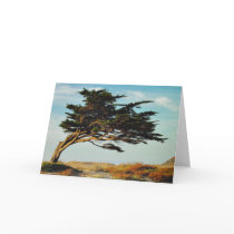 Linda Mar Cypress cards by deegolden Linda Mar Cypress cards