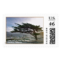 Linda Mar Tree postage