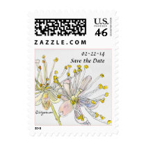Linden Blossom Save The Date Wedding Small Postage