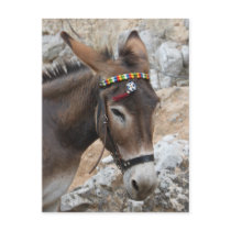 Lindos Donkey Post Card