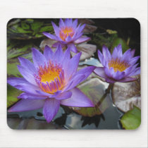 Lindsey Woods mousepads