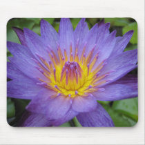 Lindsey Woods mousepads