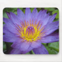 Lindsey Woods mousepads