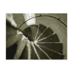 Line and Tone Post Card
