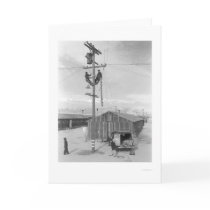 Line Crew at Work in Manzanar 1943 cards