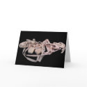 Line of Ballet Shoes cards by patamman Line of Ballet Shoes cards