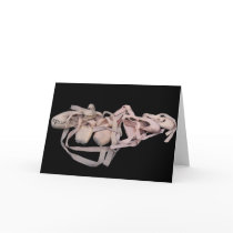 Line of Ballet Shoes cards