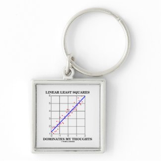 Linear Least Squares Dominates My Thoughts keychain