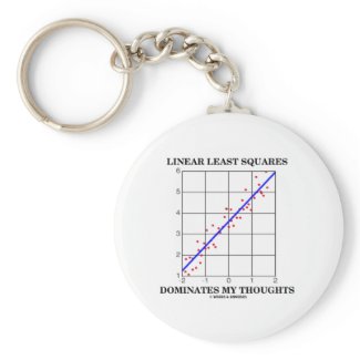 Linear Least Squares Dominates My Thoughts keychain
