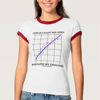 Linear Least Squares Dominates My Thoughts shirt