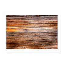 Linear World posters