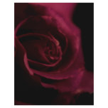 Lined Binder Paper Rose 8.5"x11" Fits Avery Custom flyers