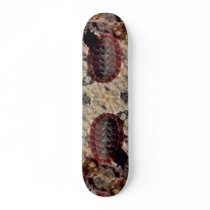 Lined chiton (Tonicella lineata) Shell Skate Board Deck