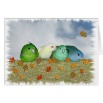 Lineolated parakeets greeting cards