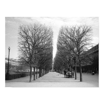 Lines of Paris Print by Tcrash81