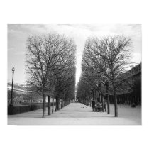Lines of Paris posters