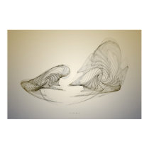 lines posters