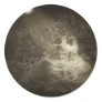 Linger in the Moonlight 1...