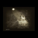 Linger in the Moonlight 1 Antiqued t-shirts by ScienceFictionArt Linger in the Moonlight 1 Antiqued t-shirts