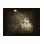 Linger in the Moonlight 1...