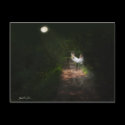 Linger in the Moonlight 1 postcards by ScienceFictionArt Linger in the Moonlight 1 postcards