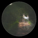 Linger in the Moonlight 1 stickers by ScienceFictionArt Linger in the Moonlight 1 stickers
