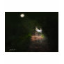 Linger in the Moonlight 1