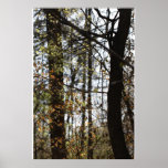 linger with the trees print