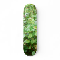 Lingonberries In Bush Skate Boards