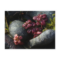 Lingonberry Leaves - Autumn Colors, Unalaska Islan Postcard