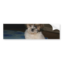 link bumper stickers
