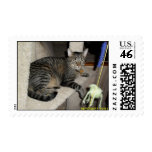 Link our tabby postage stamps