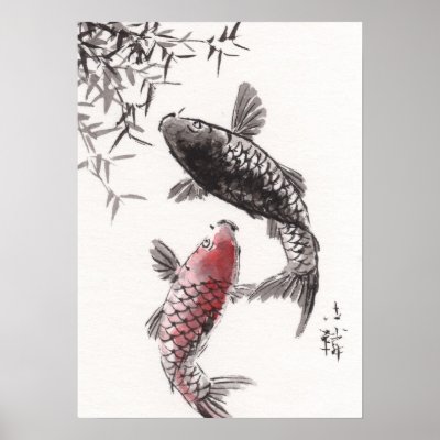 Chinese Coy Fish