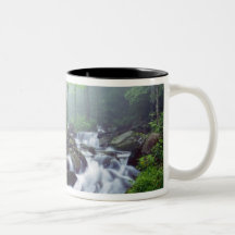 Linn Cove Creek cascading through foggy Coffee Mug