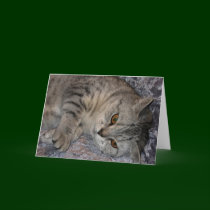 Linnea Cat quote card